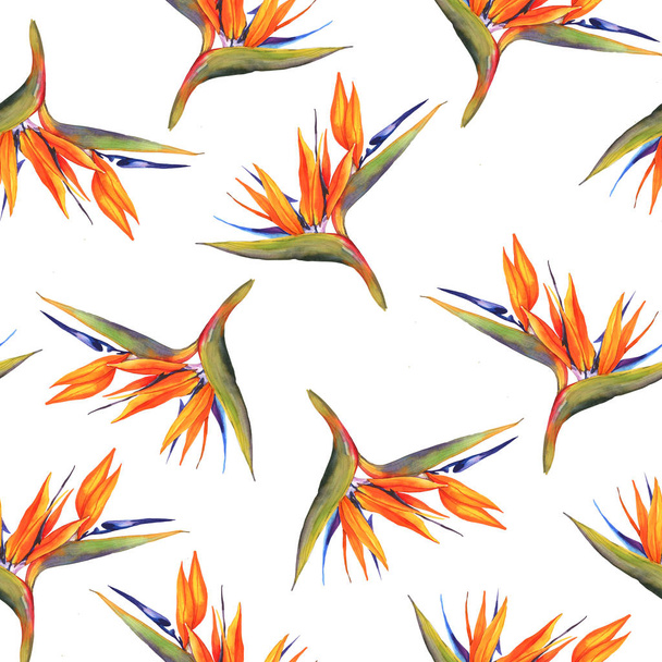 Watercolor botanical pattern. Seamless pattern. Textile design. Wrapping paper, gift wrap. Tropical exotic Strelitzia flower. Orange vibrant tropical flowers. Decor for a summer party. - Photo, Image