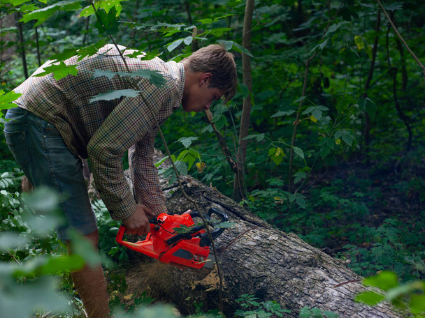 mladý foresterský chlápek pracuje jako dělník v lese, odřízne staré stromy řetězovou pilou, sekací pahýly - Fotografie, Obrázek