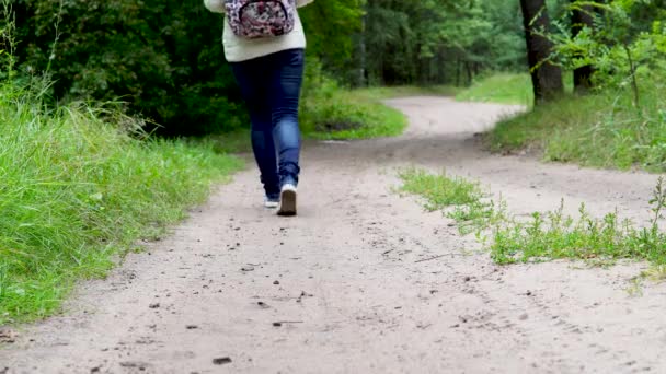 Anonimowa kobieta spacerująca po parku. Widok z tyłu młodej kobiety z ozdobnym plecakiem spacerującym ścieżką w cichym jesiennym parku - Materiał filmowy, wideo