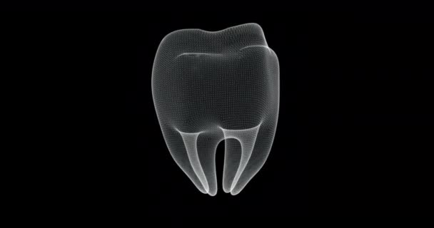 Hologram screen 3d of molar tooth of human body - loop - Footage, Video