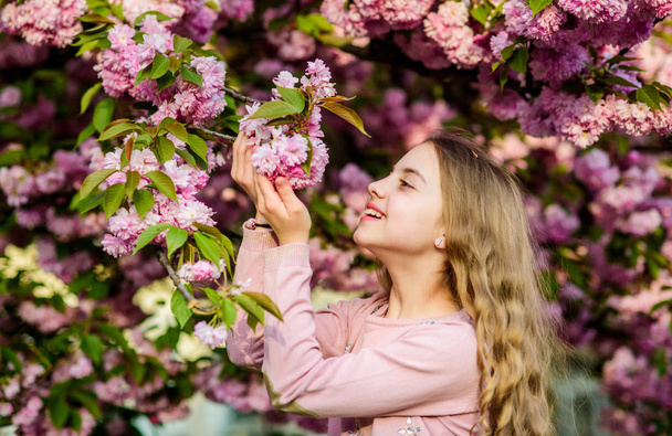 Look over there. summer. Childhood beauty. blossom smell, allergy. happy girl in cherry flower. Sakura tree blooming. skincare spa. Natural cosmetics for skin. small girl child in spring flower bloom - Foto, afbeelding