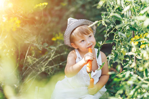 baby farmer with carrots and cacual clother sitting in green grass - Фото, изображение