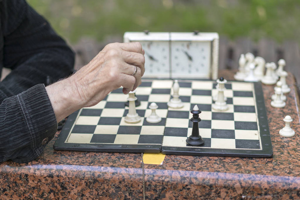 Chess player in the park. Old man plays chess in the park - Foto, immagini
