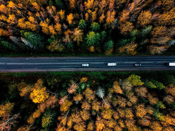 Εναέρια θέα του δρόμου σε πανέμορφο φθινοπωρινό δάσος στην αγροτική Φινλανδία.  - Φωτογραφία, εικόνα