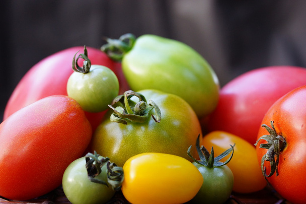 bunte und unterschiedlich große Tomaten - Foto, Bild