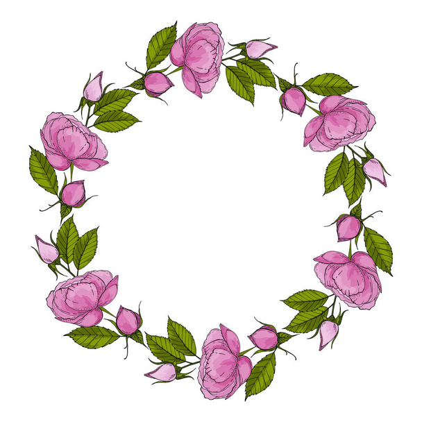  Beautiful peonies wreath. Hand drawn blossom flowers, buds and leaves. Colorful vector illustration on white background - Vecteur, image
