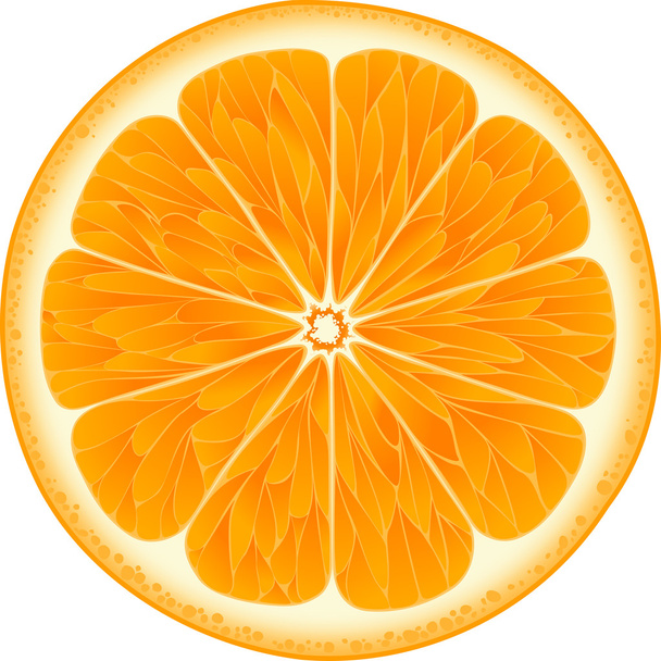 Naranja sobre fondo blanco - Vector, Imagen