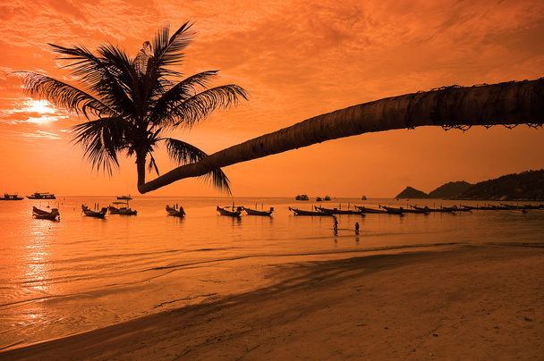 zachód słońca na tropikalnej plaży - Zdjęcie, obraz
