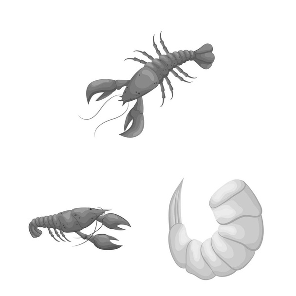 Vector illustration of crab and appetizer symbol. Collection of crab and sea stock symbol for web. - Vektor, obrázek
