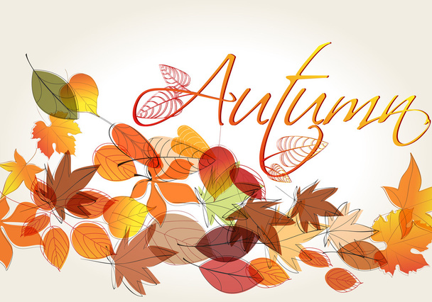 Cute autumn illustration - Vektör, Görsel