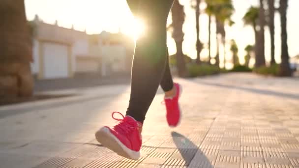Κοντά στα πόδια μιας γυναίκας που τρέχει κατά μήκος της λεωφόρου παλάμης το ηλιοβασίλεμα. Αργή κίνηση - Πλάνα, βίντεο