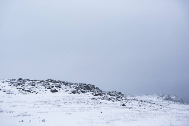 Снежная пустыня Зимний пейзаж Кольского полуострова
 - Фото, изображение
