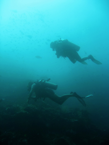 Sipadan divers - Photo, Image
