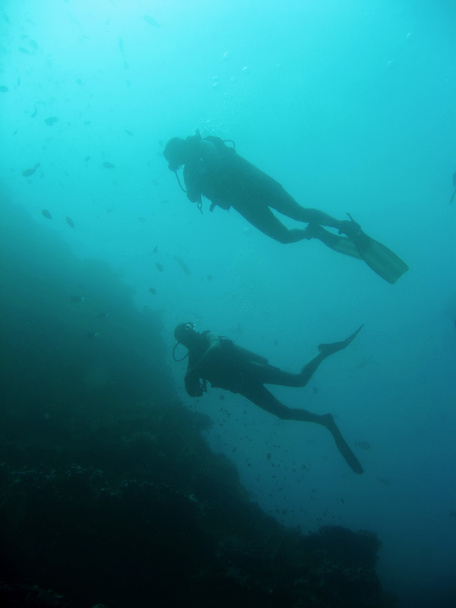Sipadan scuba divers - Photo, Image