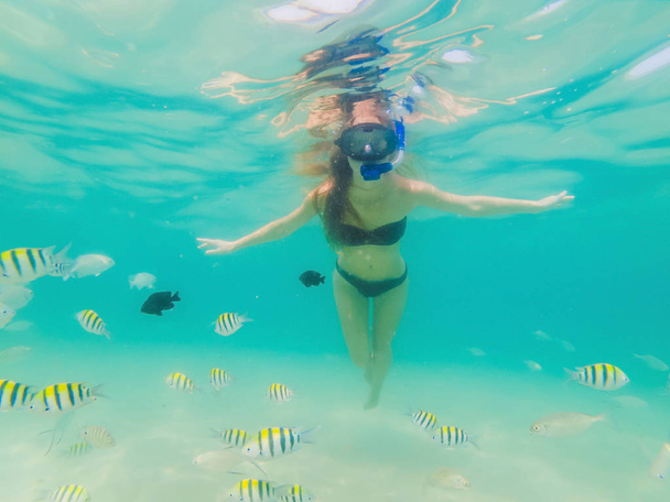 Happy woman in snorkeling mask dive underwater with tropical fishes in coral reef sea pool. Travel lifestyle, water sport outdoor adventure, swimming lessons on summer beach holiday - Fotografie, Obrázek