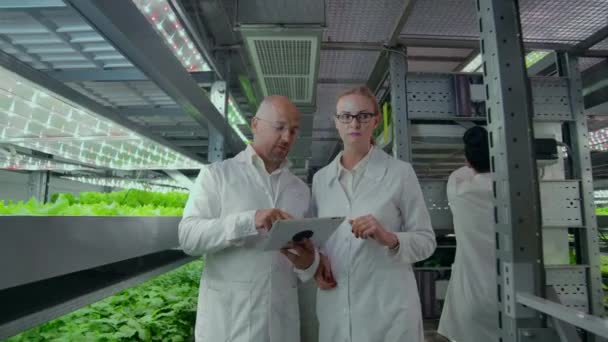 Μικροβιολογία σε λευκές ποδιές περπατώντας σε ένα σύγχρονο αγρόκτημα με φορητούς υπολογιστές και ταμπλέτες μελετώντας και συζητώντας τα αποτελέσματα της ανάπτυξης των πράσινων φυτών. - Πλάνα, βίντεο