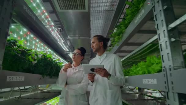 Vědci v bílých kabátech s přenosným počítačem jdou po chodbě farmy s hydroponiky a prodiskutují výsledky genových studií na rostlinách. Prohlédněte si vzorky. - Záběry, video