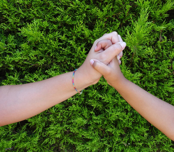 Kobieta i chłopiec dotykają rąk w zielonym ogrodzie - Zdjęcie, obraz