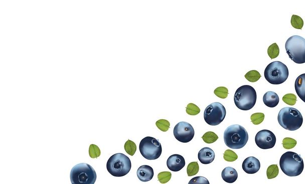 Mooie frisse rijpe Blueberry met groene leaft geïsoleerd op witte achtergrond. 3D realistische Blueberry met Kopieer ruimte voor je tekst. Macro structuur. Grens ontwerp. Banner. Vector illustratie - Vector, afbeelding