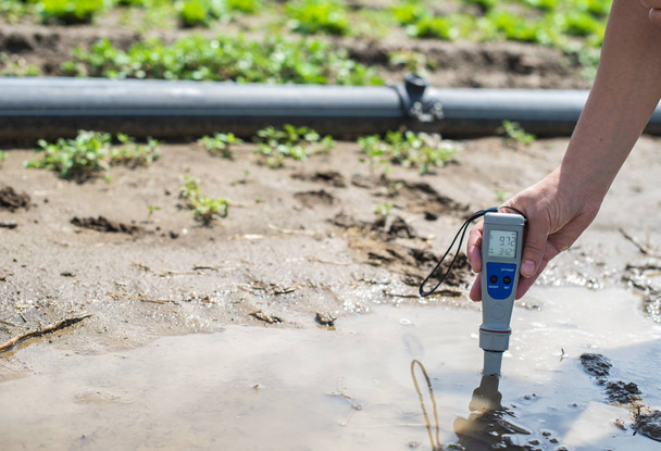 Mujer mide el agua de riego con medidor digital de pH en la pu de agua
 - Foto, Imagen