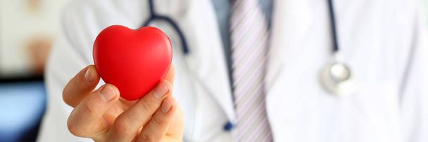 Doc držící srdce - Fotografie, Obrázek