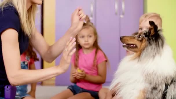 Ο θεραπευτής και ο σκύλος της έχουν μια συνάντηση στο νηπιαγωγείο - Πλάνα, βίντεο