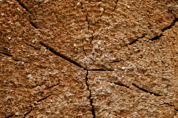 Vurenhout boom-ringen textuur - Foto, afbeelding