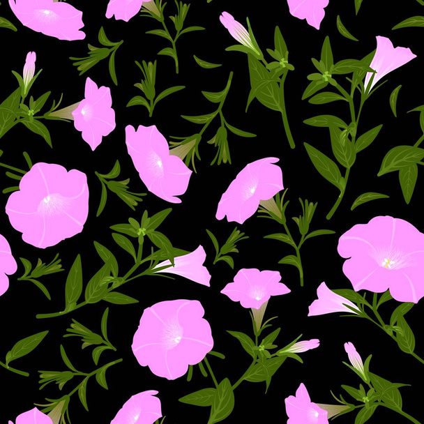 Color pattern with blooming petunias - Fotoğraf, Görsel