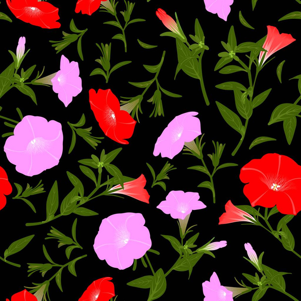 Color pattern with blooming petunias - Foto, Bild