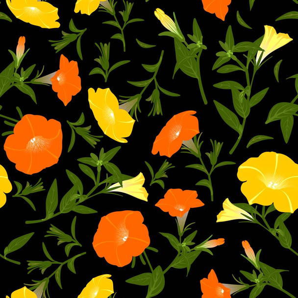 Color pattern with blooming petunias - Fotoğraf, Görsel