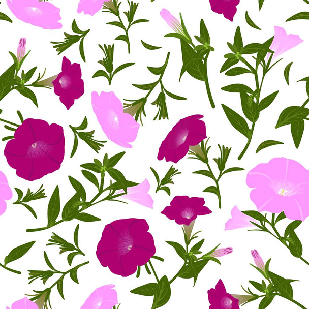 Color pattern with blooming petunias - Φωτογραφία, εικόνα