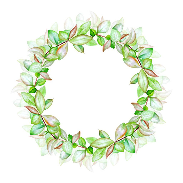 Ακουαρέλα πλαίσιο με πράσινα φύλλα - Φωτογραφία, εικόνα