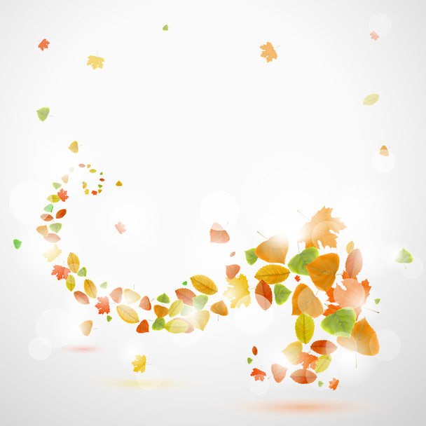 Fondo abstracto de otoño con hojas
 - Vector, imagen