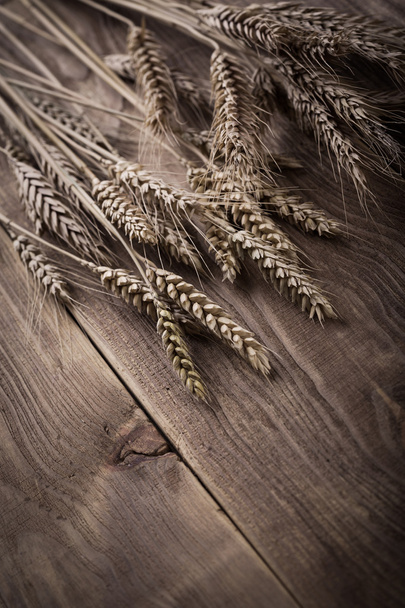 Hojas de trigo vintage - Foto, imagen