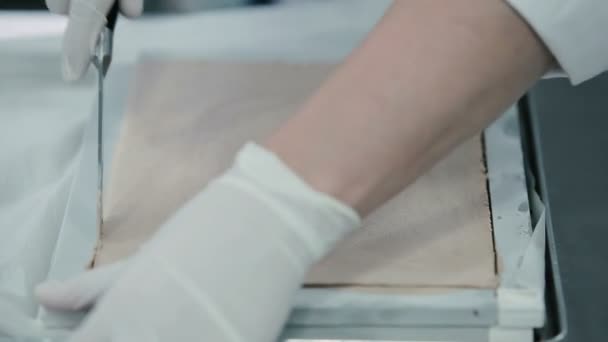 Hands cut the cake. Closeup of cook hands with a knife cut the dough pie. Chef working in rubber gloves. Pie is in a baking dish and covered with parchment paper. The girl with a knife align the edges of the pie on a baking sheet. - Video