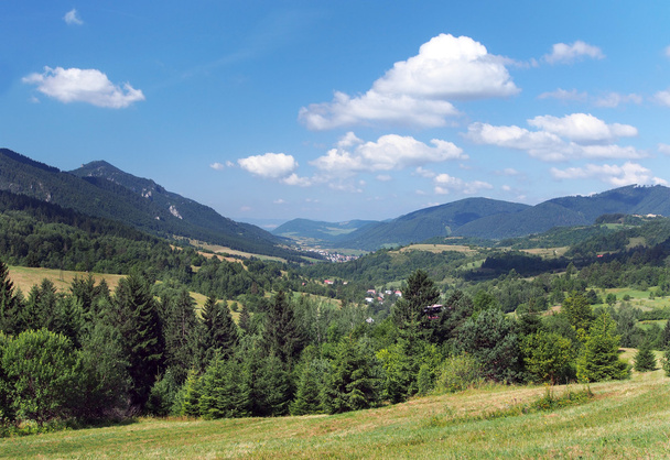 Valley in Mala Fatra with Terchova village - Photo, Image