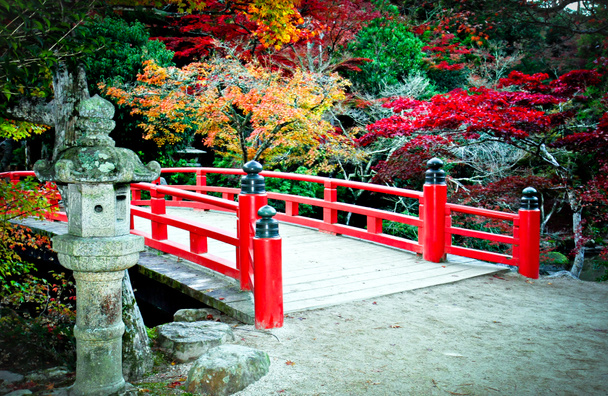γέφυρα και το φθινόπωρο χρώματα στην Ιαπωνία miyajima - Φωτογραφία, εικόνα