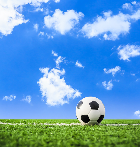 Футбол на зеленой траве
 - Фото, изображение