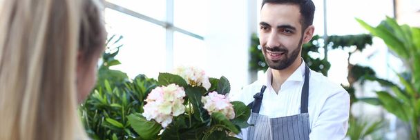 Beard Gardener Holding Hydrangea in Flowerpot - Фото, изображение