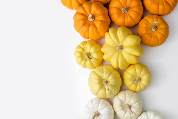Pumpkin - Photo, Image