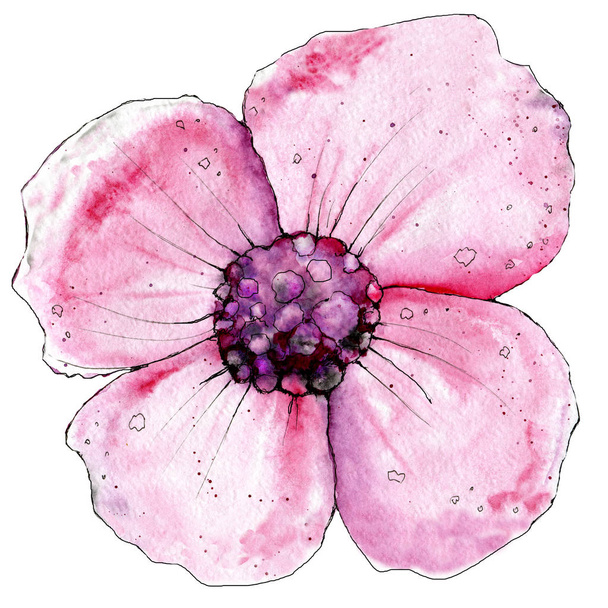 Pink pipacs virág. Akvarell illusztráció tervezése nyomtatás, sablon, banner, háttér, meghívó, Gratulálok, esküvő, üdvözlés - Fotó, kép