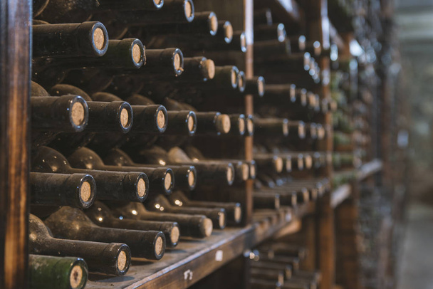 stoffige wijnflessen op een houten plank in een wijnkelder - Foto, afbeelding
