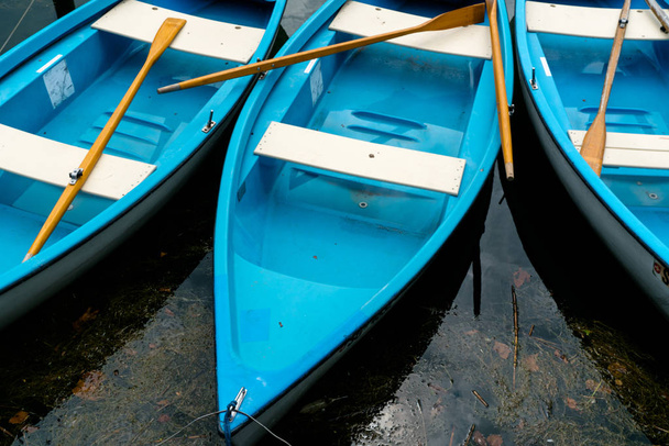 暗い湖の水の明るい青と白の手漕ぎボート - 写真・画像
