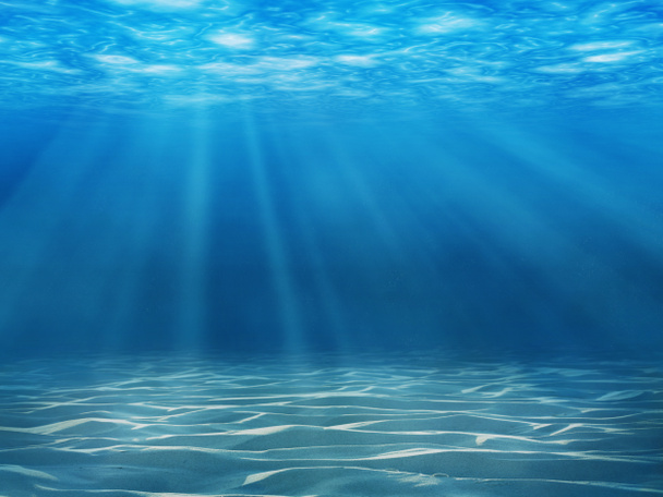 Подводный мир - Фото, изображение