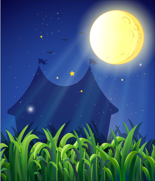 The carnival at night - Vector, Image
