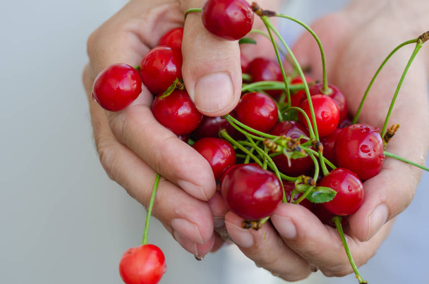 The man is showing the cherries  in his handfull. - Photo, Image