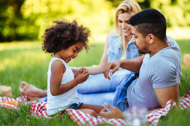 Onnellinen perhe hauskaa aikaa yhdessä piknikillä
 - Valokuva, kuva
