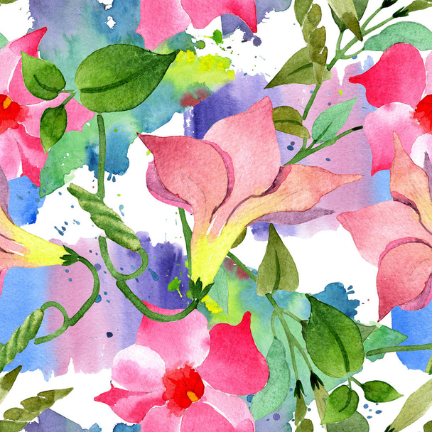 Pink mandevilla floral botanical flowers. Watercolor illustration background set. Seamless background pattern. - Photo, image