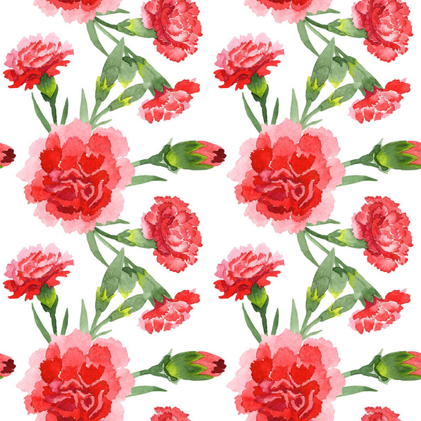 Piros Dianthus virágos botanikai virágok. Akvarell háttér illusztráció meg. Folytonos háttérmintázat. - Fotó, kép