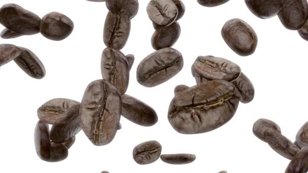 Padající kávová zrna na bílém pozadí - Záběry, video